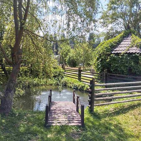 Відпочинковий Комплекс "Alpha Plus" Yablunytsya Exterior photo